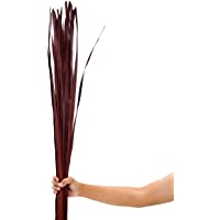 Leewadee racimo para florero de Suelo – 20 Hojas Sueltas de Palmera secada- Ramo Decorativo para adornar vestíbulos o…